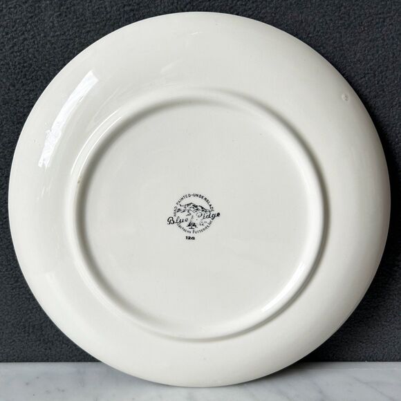 Vintage Blue Ridge Southern Potteries Bittersweet Berries 4 Hand Painted Plates - Picture 11 of 13